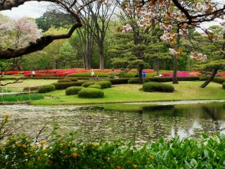 обои Красота весеннего Японского парка фото