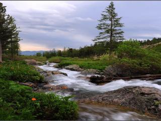 обои Алтайские реки фото