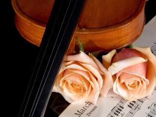 обои Скрипка,   две розы и ноты фото