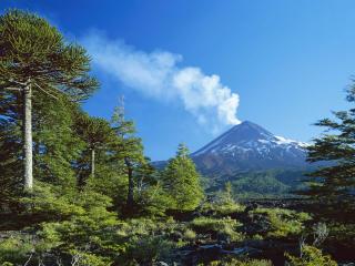 обои Дымящий вулкан  весной фото