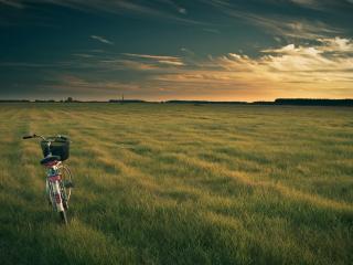 обои На поле зеленом одинокий велосипед фото