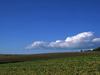 обои Облако над полями фото