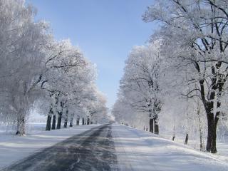 обои На дороге сухая зимняя погода фото