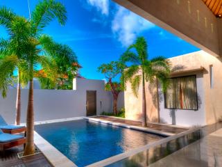 обои Домашний бассейн с пальмами фото