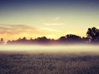 обои Вечерний туман над полем,   на закате фото