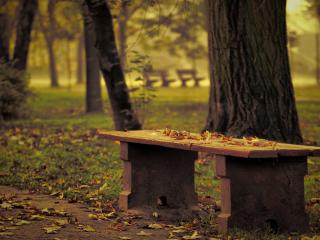 обои Скамья в осеннем парке,   листья на скамье фото