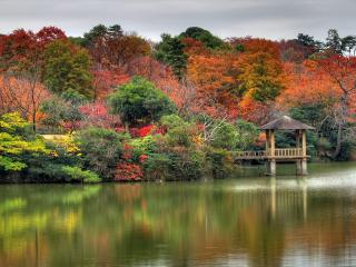 обои Осенний  лес и беседка в озере фото
