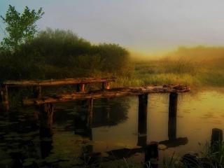обои Туманный рассвет на озере фото