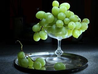 обои Зеленый виноград фото