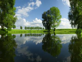 обои Красивый пейзаж зелени и воды чистой фото