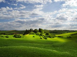 обои Холмистая местность покрытая травами фото