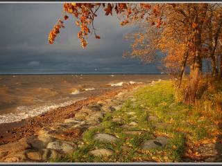 обои Балтийская осень фото