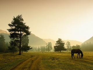 обои Дорога,   конь и горы фото