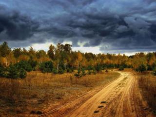 обои Грунтовая дорога в осенний лес фото
