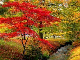 обои Осень в национальном парке фото