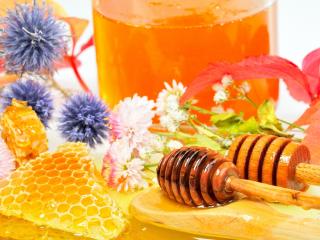 обои для рабочего стола: Цветы и соты с медом