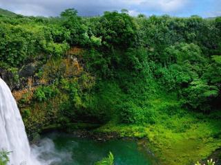 обои Водопад и отвесные скалы в зелени фото