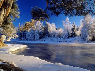 обои Зимняя река и деревья в инее на берегу фото