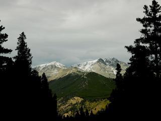 обои Горы с голыми вершинами и лесами внизу фото