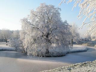 обои Замерзшая речка зимой и деревья с инеем фото