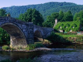 обои Каменный мост и домик заросший зеленью фото