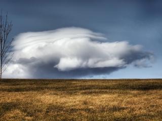 обои Пушистое облако над полем с сухим деревом фото