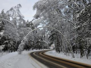 обои Наезженная дорога по зимнему снегу фото
