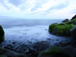 обои Туман у морского берега и камни поросшие мхом фото
