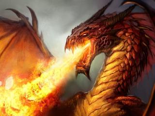 обои Огнем дышит дракон фото