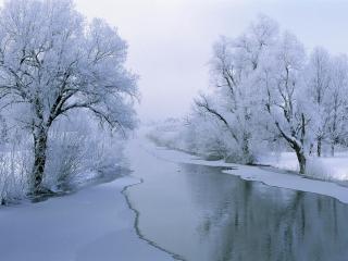 обои Замерзающая речка и деревья в инее фото