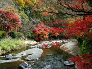 обои Красная и желтая листва над речкой быстрой в горах фото