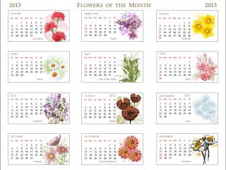 обои для рабочего стола: Календарь - 2013 - Цветы