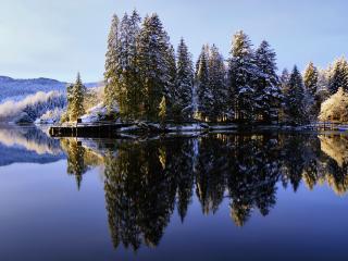 обои Тихое озеро и деревья припорошенные снегом фото