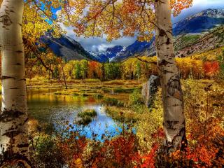 обои Разноцветные деревья осенние у озера и гор фото