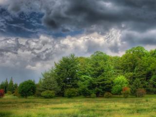 обои Грозовые облака над поляной фото