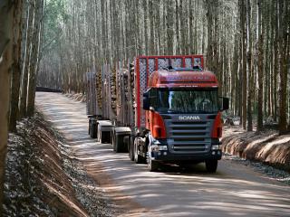обои Scania R500 6x2 Highline Timber Truck 2004 перед фото