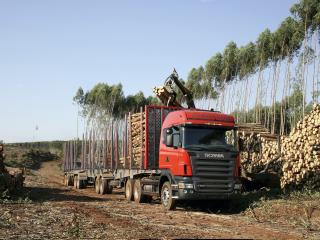 обои Scania R500 6x2 Highline Timber Truck 2004 погрузка фото