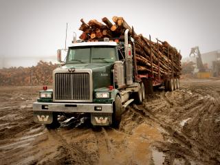 обои Western Star 4900 FA Logging Truck 2008 перед фото