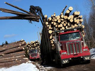 обои Western Star 4900 FA Logging Truck 2008 сила фото