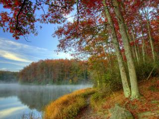 обои Осенний лес с красной листвой у озера туманного фото