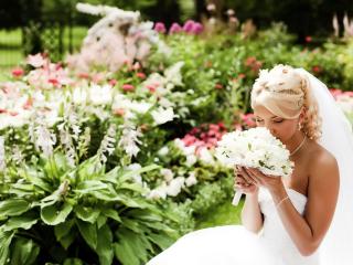 обои Невеста в саду фото