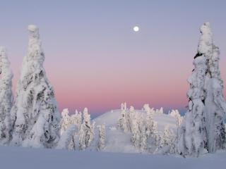обои Взошедшая луна заснеженной зимой фото