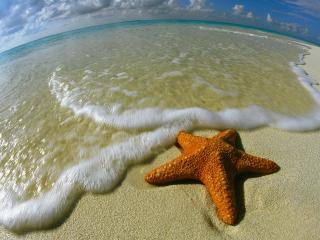обои Песок,   волна и морская звезда на округлой планете фото