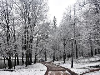обои Мокрый снег зимой и рыхлая дорога фото