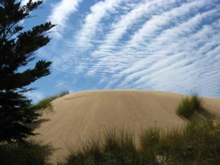 обои Песчаный холм поросший травой фото