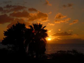 обои Вид с тропического берега на закат солнца фото