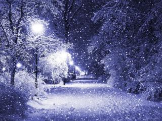 обои Снегопад вечером на аллее с фонарями фото