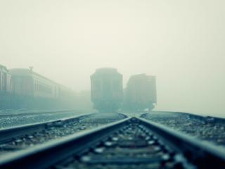 обои Стоят составы на железной дороге в туманную погоду фото