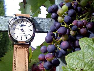 обои Часы наручные и гроно винограда фото