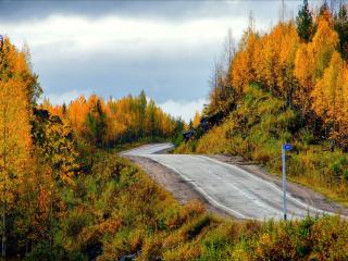 обои Осенняя дорога Севера фото